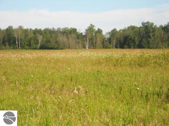 TBD E Stevenson Lake Road: E Stevenson Lake Road, Clare, MI 48617